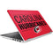 NHL Carolina Hurricanes Lineup HP Pavilion Skin